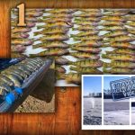 Freshwater fishing vacations