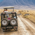 Safari tanzania safaris guide africa quick exceptional choose