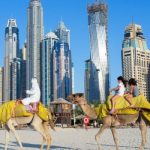 Luxury desert safari tours
