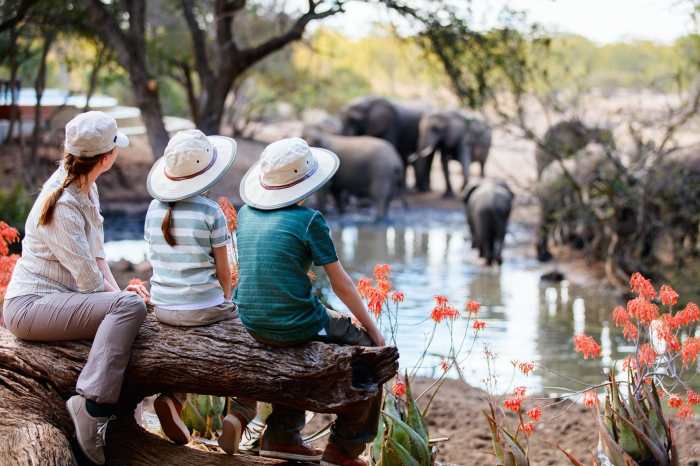 Adventure safari holidays in Tanzania